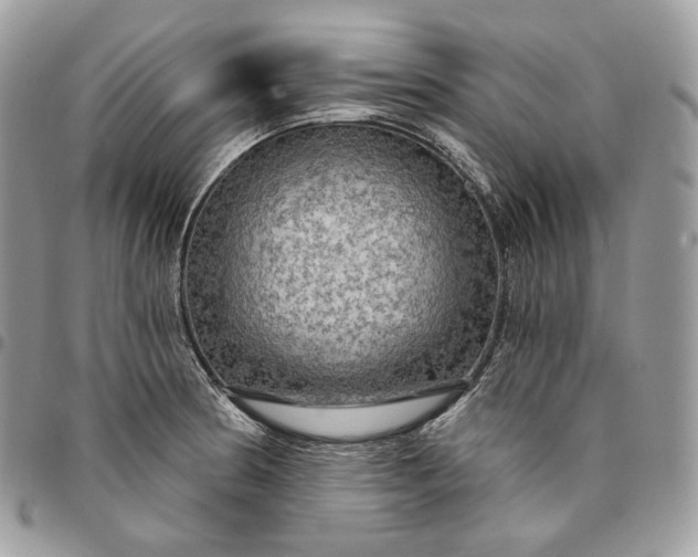 X0000095111186200712211314