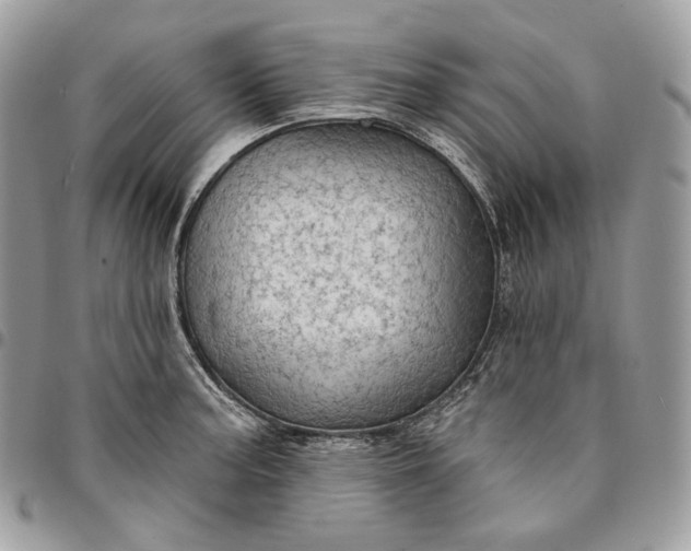 X0000095111187200712211314