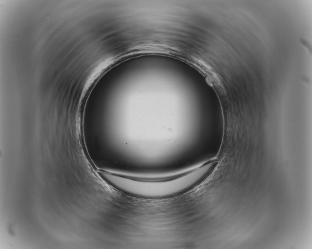 X0000095111188200712211314