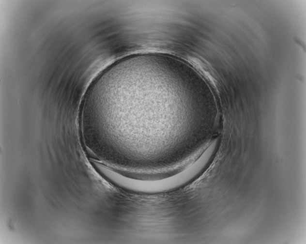 X0000095111189200712211314