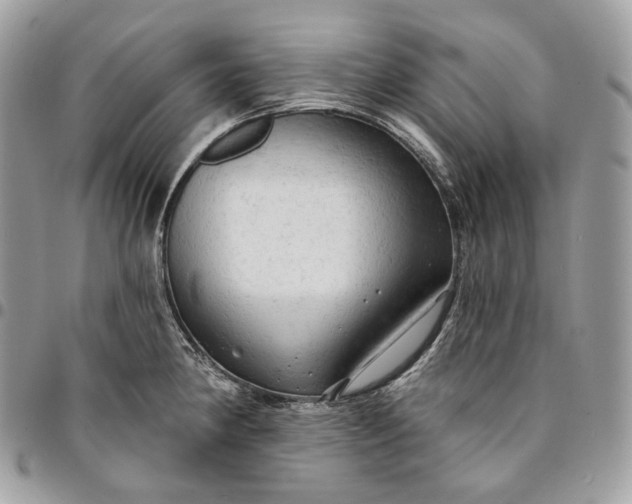 X0000095111190200712211314