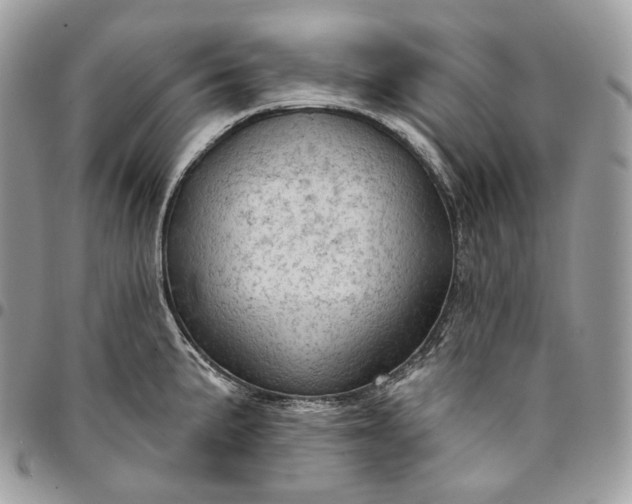 X0000095111191200712211314