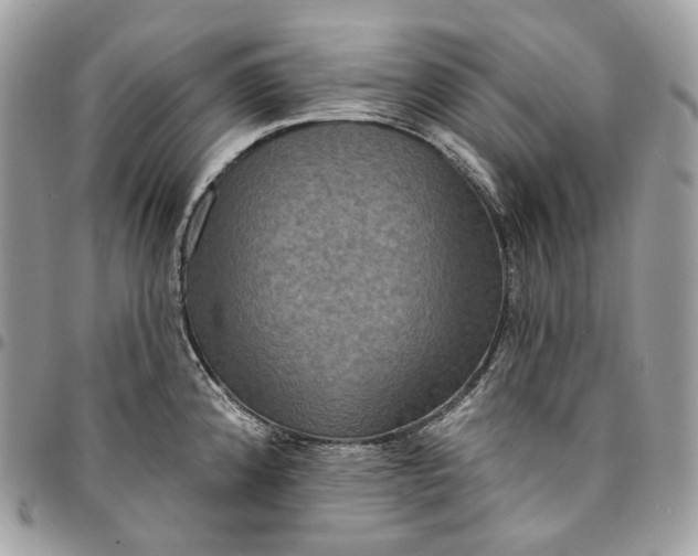 X0000095111192200712211314