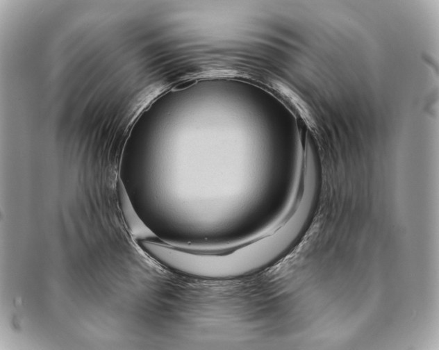 X0000095111193200712211314