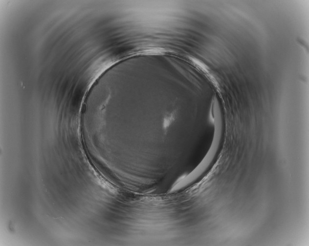 X0000095111194200712211314