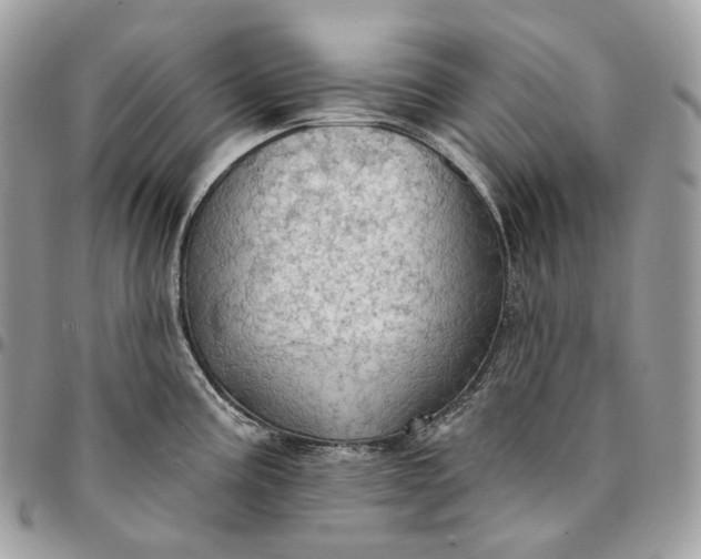 X0000095111195200712211314