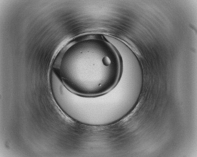 X0000095111196200712211314