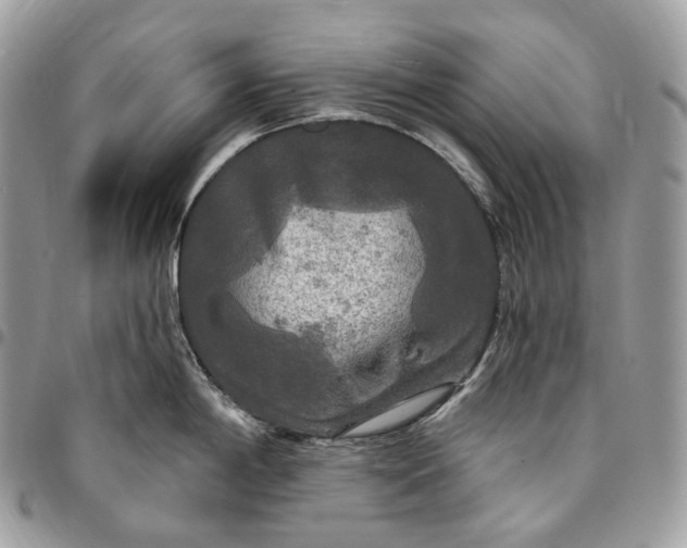 X0000095111198200712211313