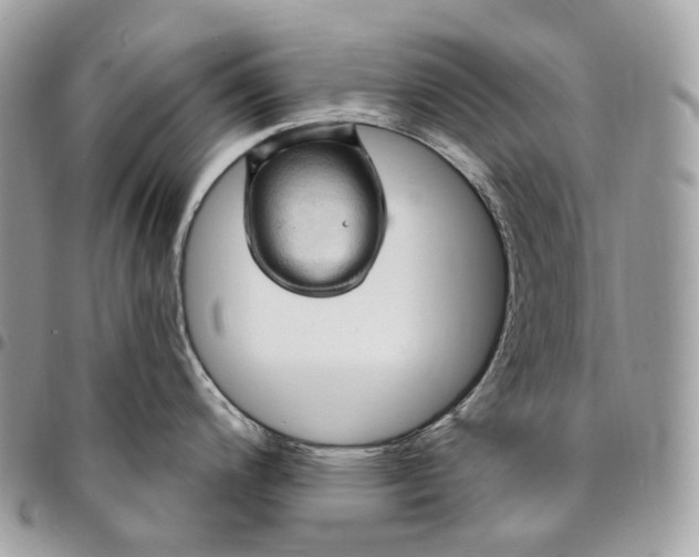 X0000095111200200712211313