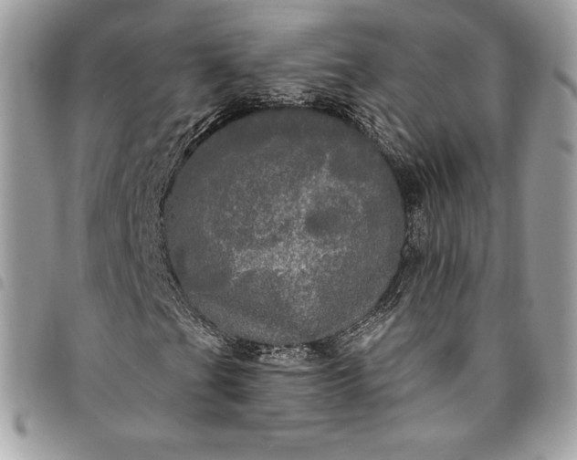 X0000095111201200712211313