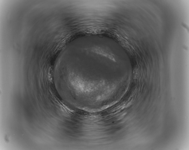 X0000095111202200712211313