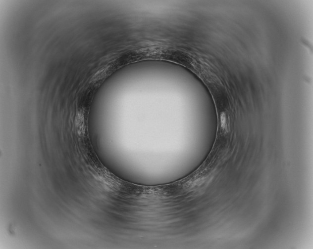 X0000095111203200712211313