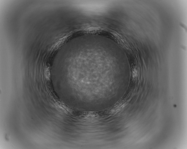 X0000095111204200712211313