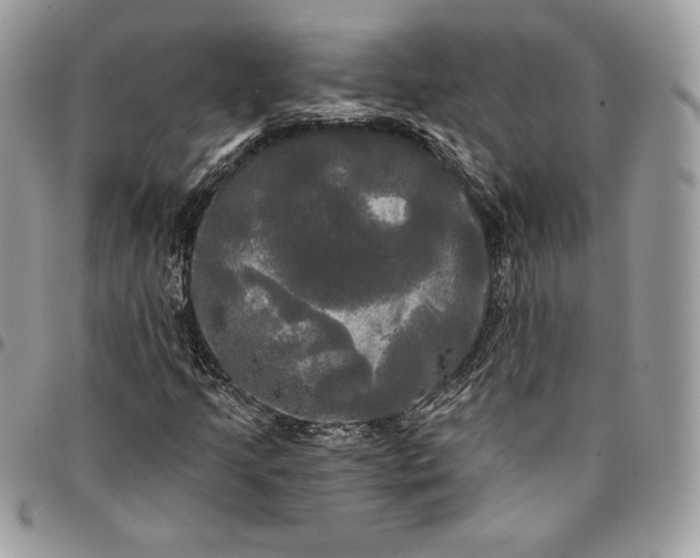 X0000095111205200712211313