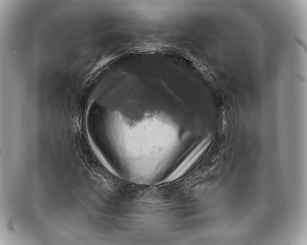 X0000095111206200712211313