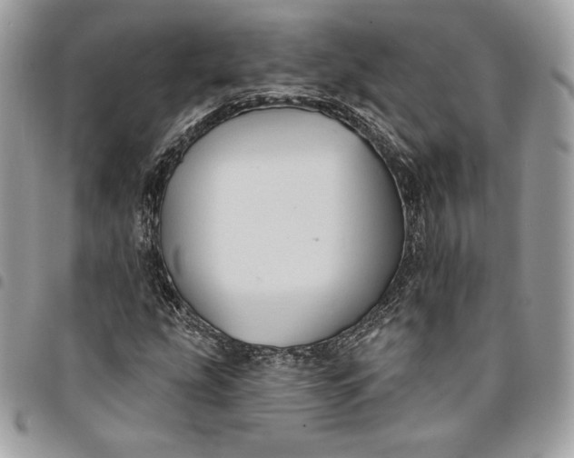 X0000095111207200712211313