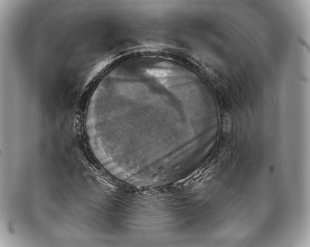 X0000095111208200712211313