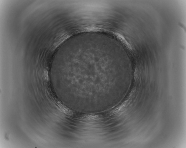 X0000095111209200712211313