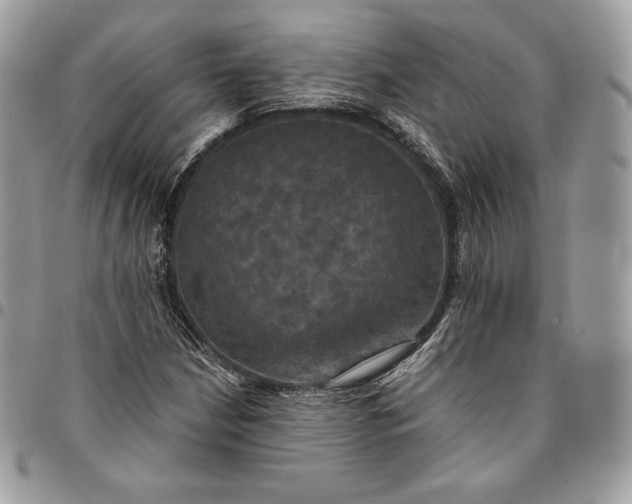 X0000095111210200712211313