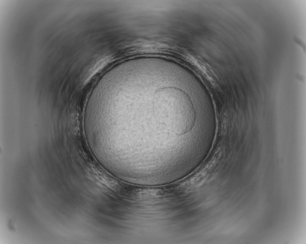 X0000095111211200712211313