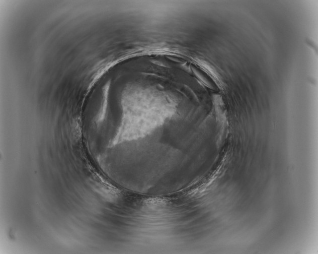 X0000095111212200712211313