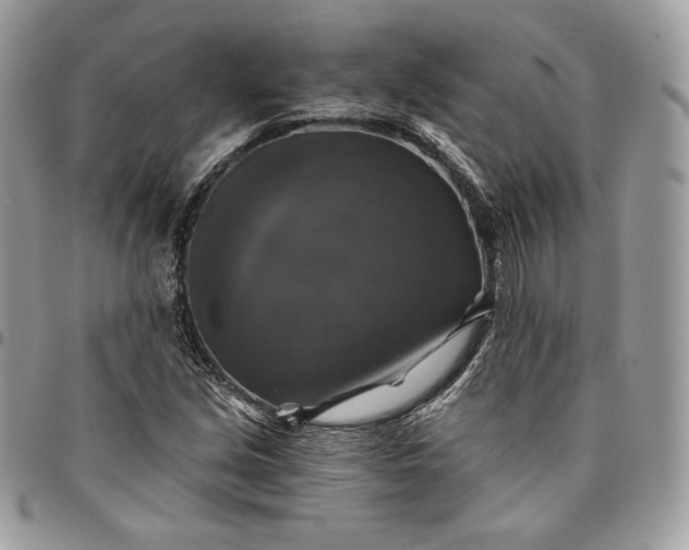 X0000095111213200712211313