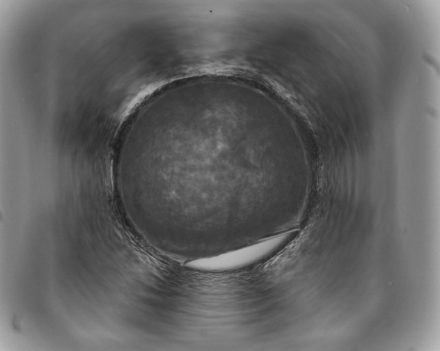 X0000095111214200712211313