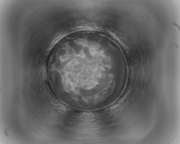 X0000095111215200712211313