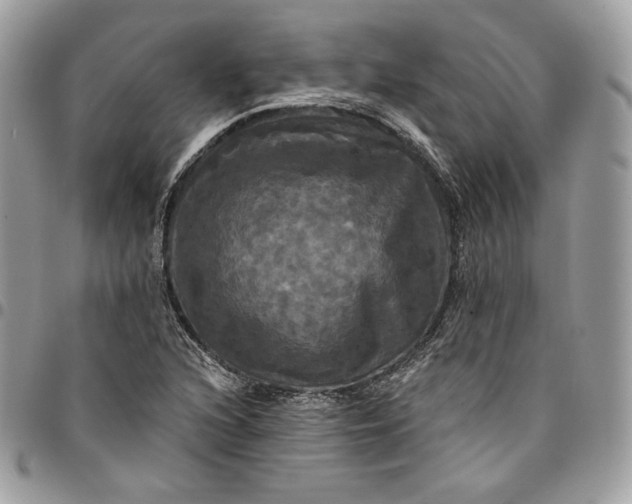 X0000095111216200712211313