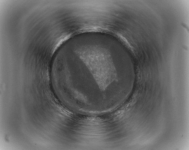 X0000095111218200712211313