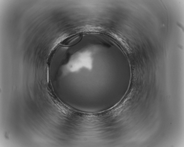 X0000095111219200712211313