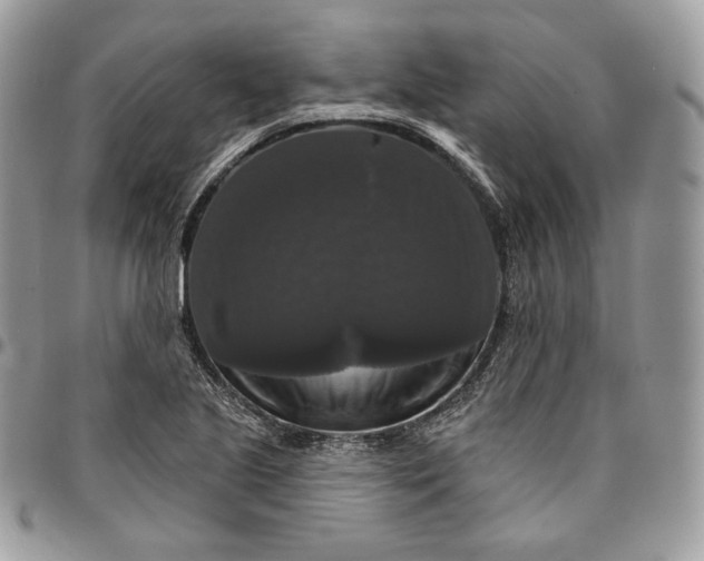 X0000095111221200712211313