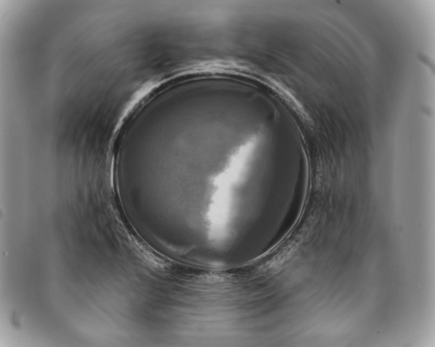 X0000095111224200712211313