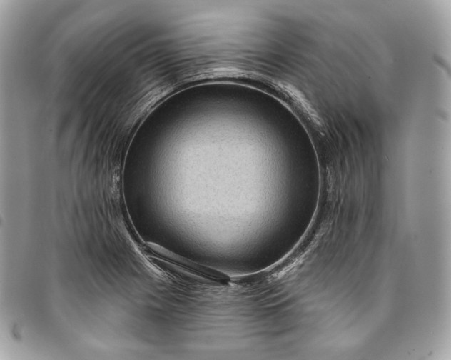 X0000095111225200712211313