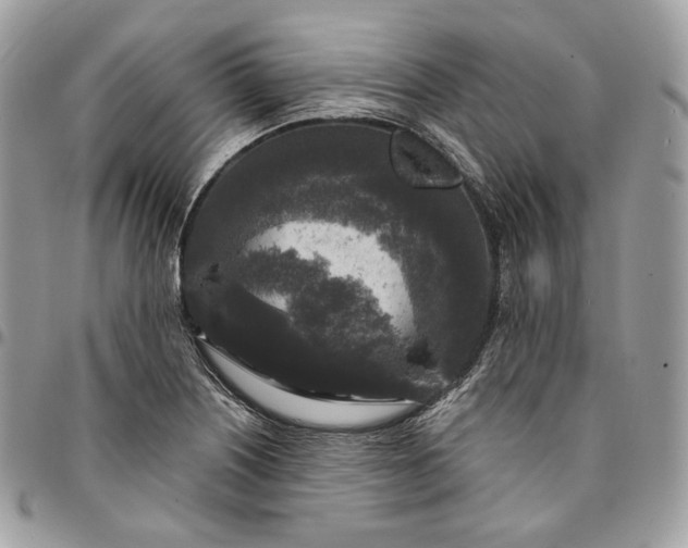 X0000095111226200712211313