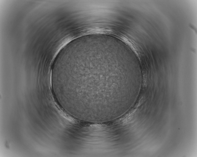 X0000095111227200712211313