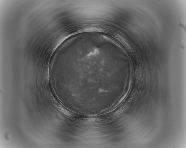 X0000095111228200712211313