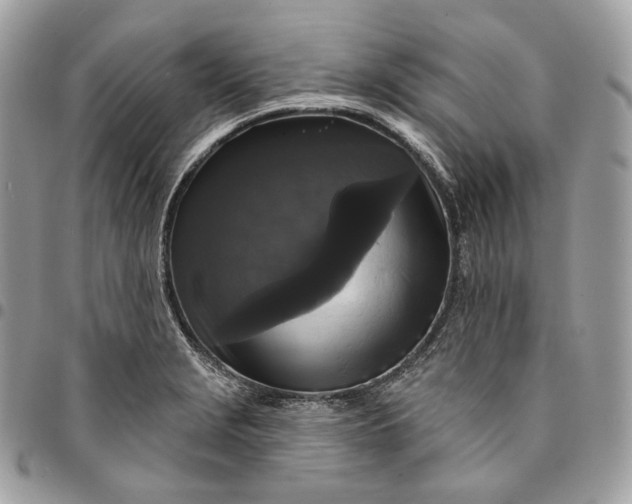 X0000095111229200712211313