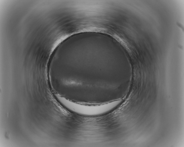 X0000095111230200712211313