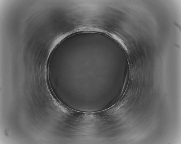 X0000095111231200712211313