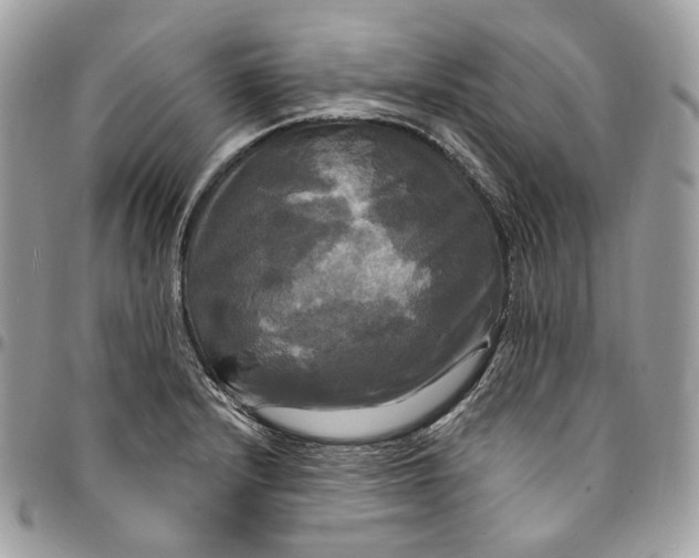 X0000095111232200712211313