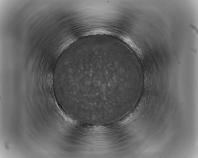 X0000095111233200712211313