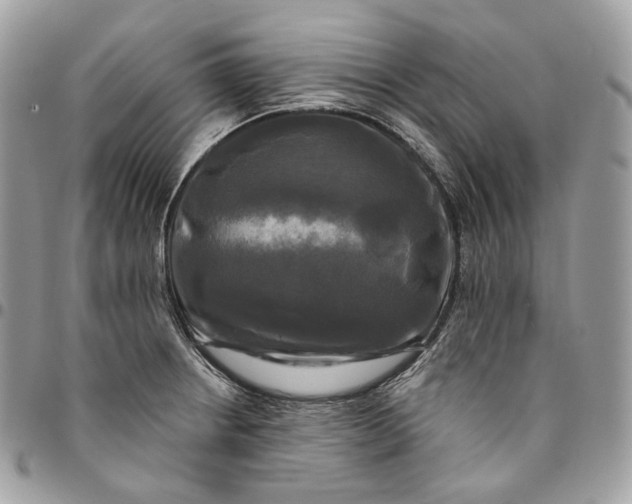 X0000095111234200712211313