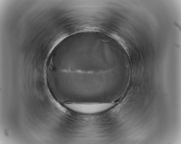 X0000095111235200712211313