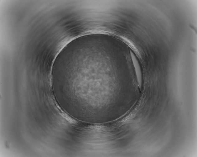 X0000095111236200712211313