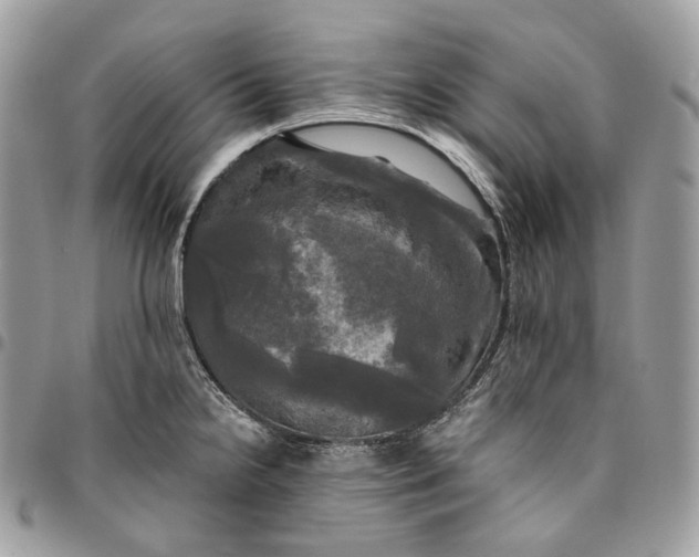 X0000095111238200712211313