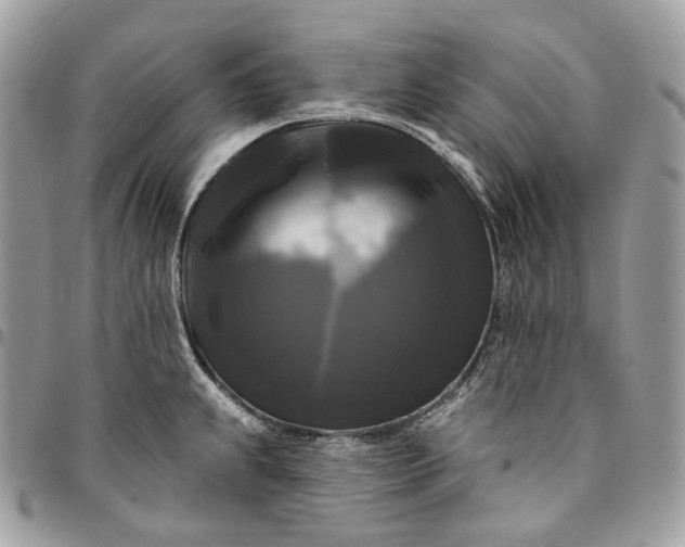 X0000095111239200712211313