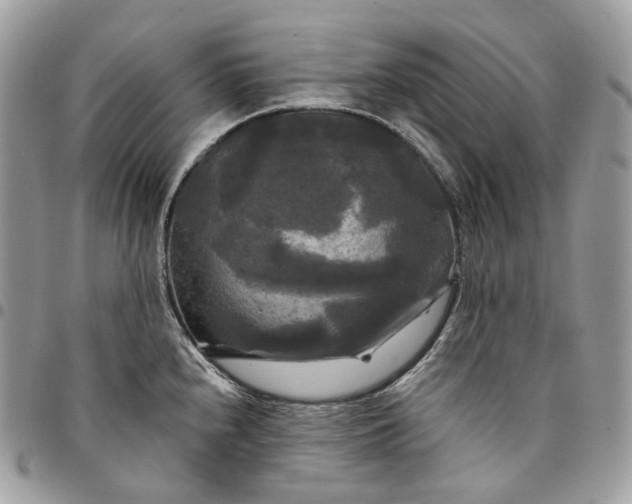 X0000095111240200712211313