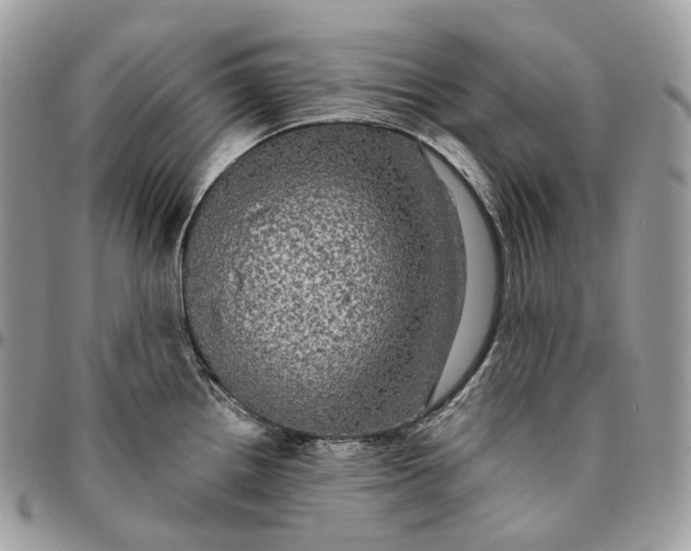 X0000095111242200712211313