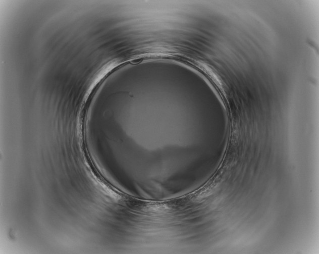 X0000095111243200712211313